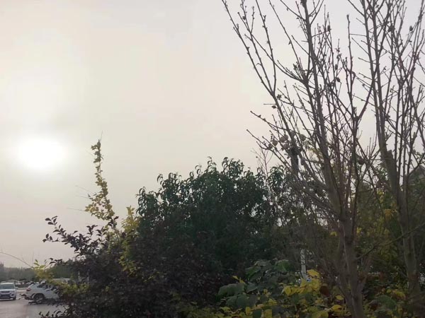 上海十佳律師來講講違反行政規(guī)章簽訂租賃合同是否認定租賃合同無效